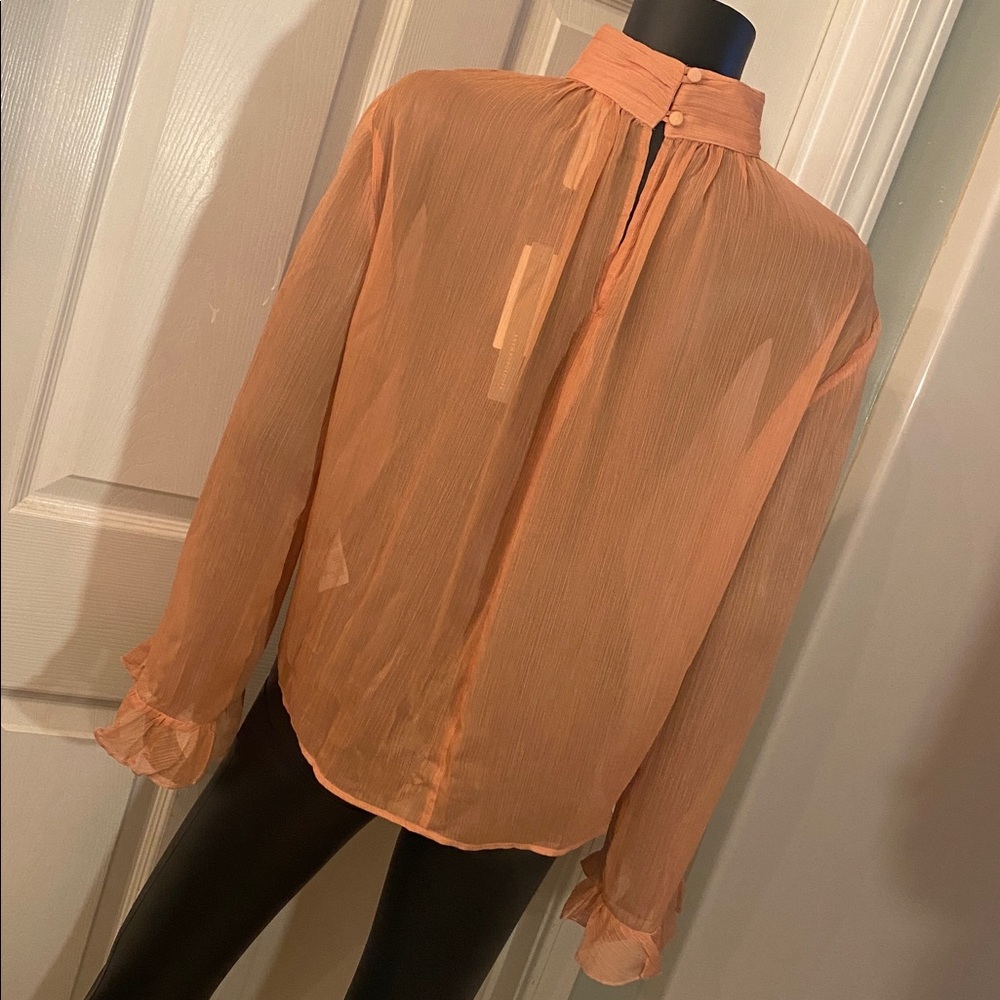 Anthropologie Sheer Terracotta Blouse Top NWTs - Picture 7 of 13